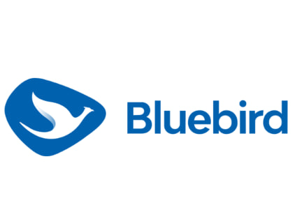 Blue Bird